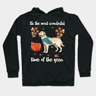 Labrador Dog Autumn Fall Most Wonderful Time Maple Gift Hoodie